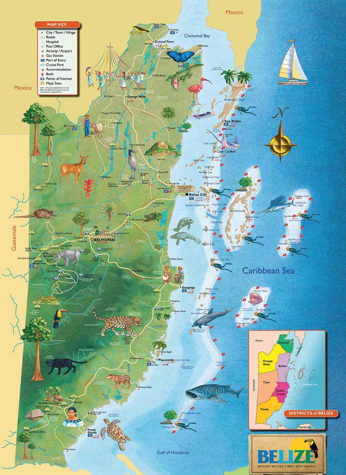 Port Belize mapie